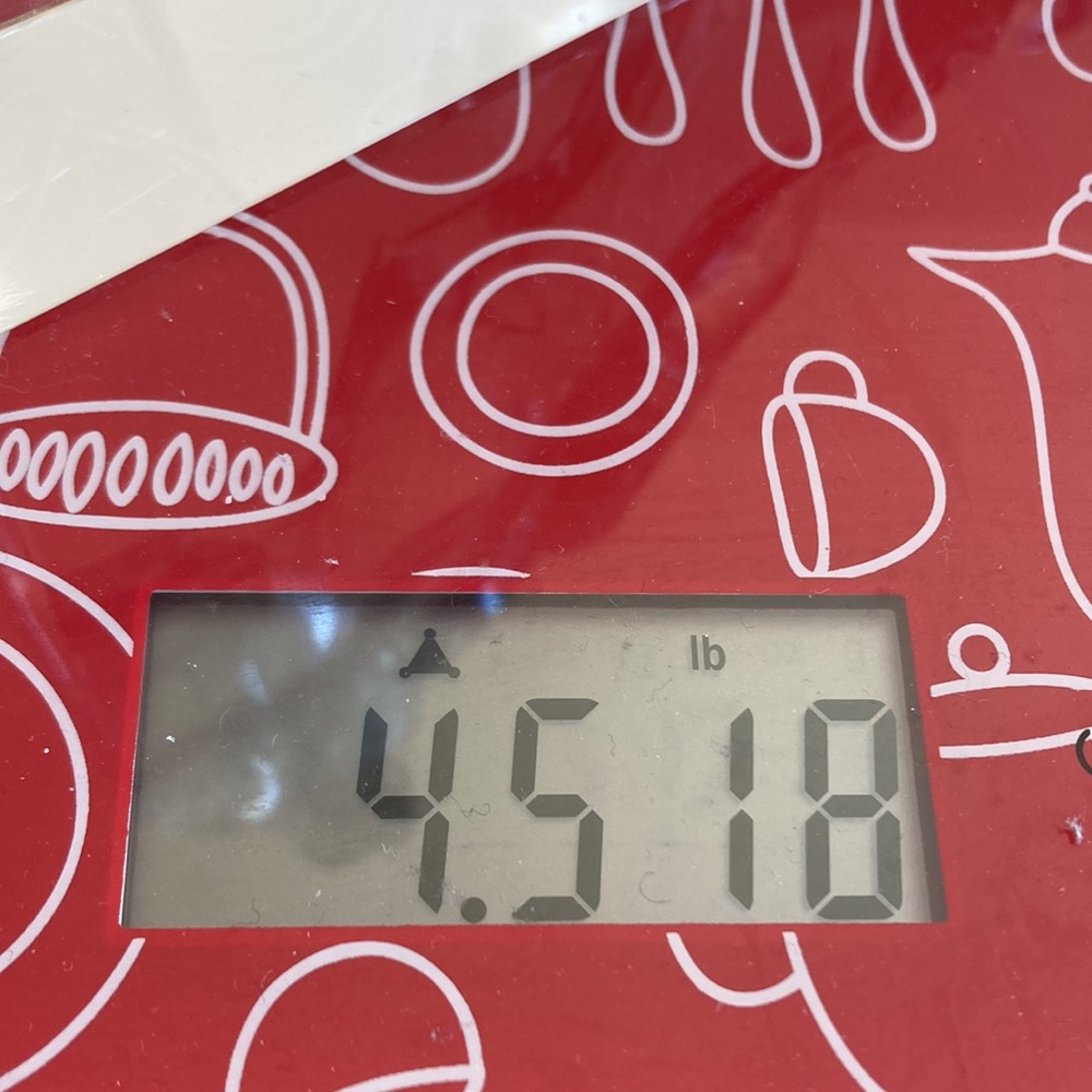 Paperweight / Book Holder - Picture 10 of 10